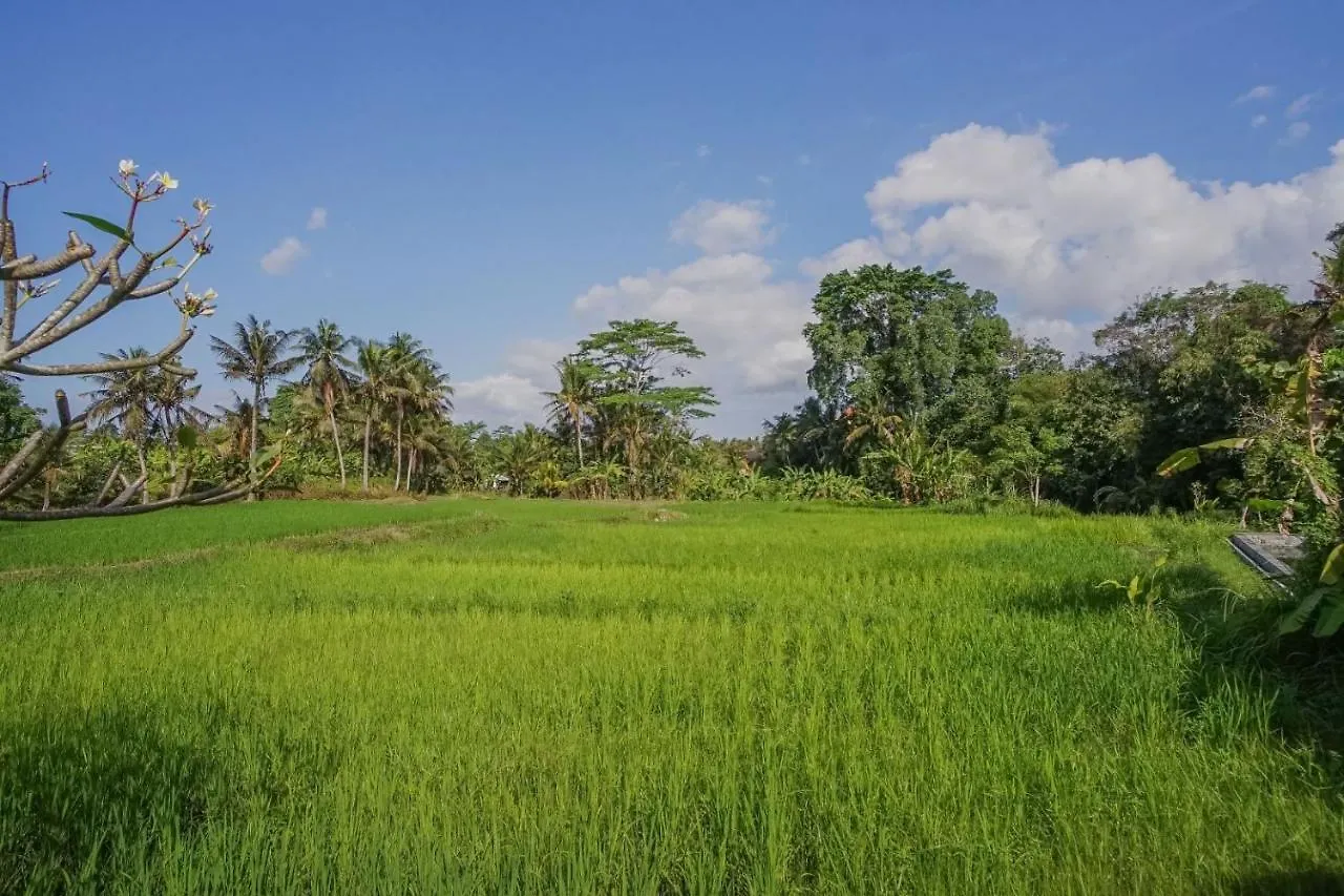 Nayaka Living Ubud 0*,