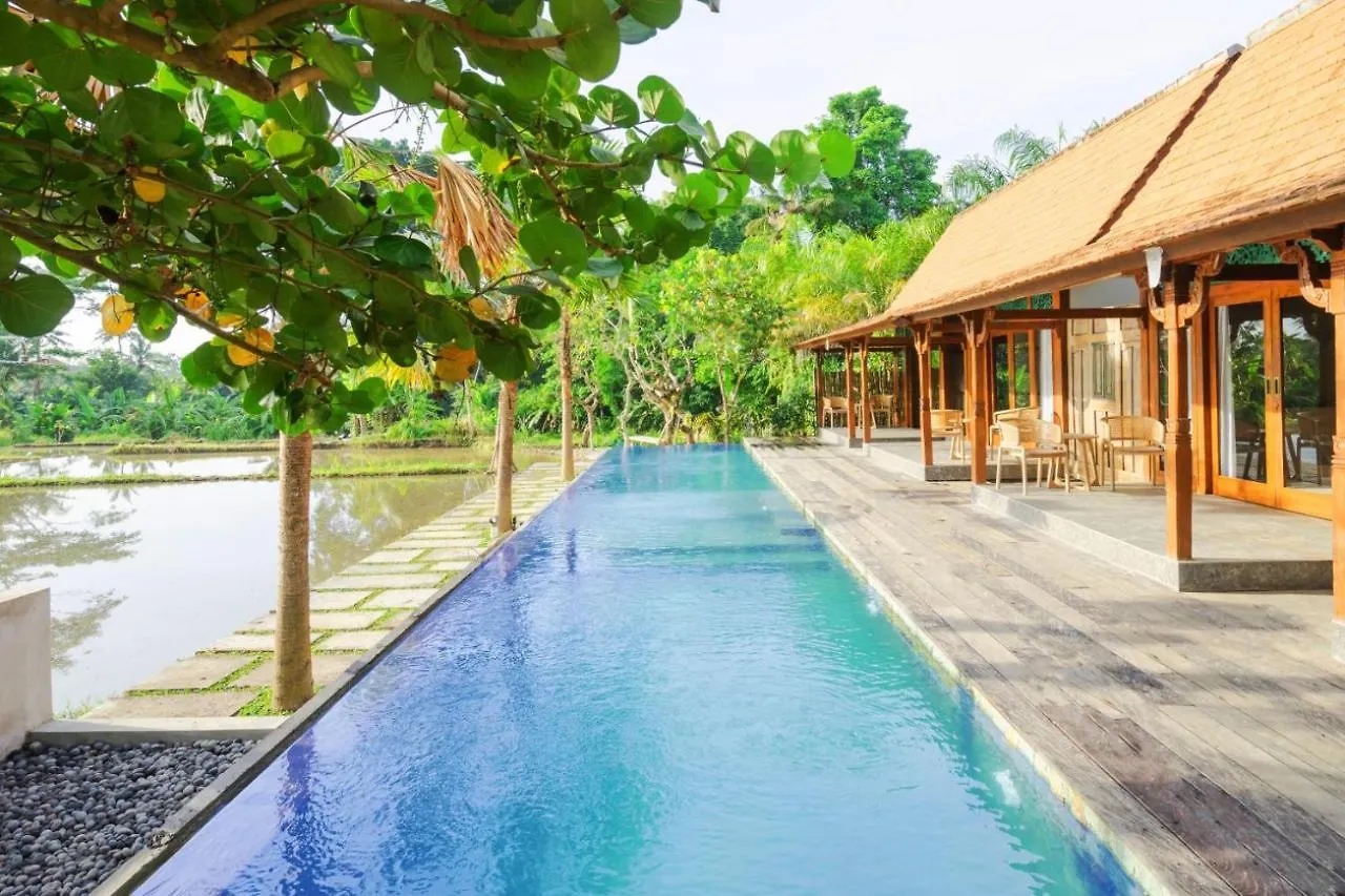 Villa Nayaka Living Ubud
